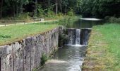 Tour Zu Fuß Schwarzenbruck - Schwarzenbruck Wanderweg - Photo 9