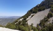 Excursión Senderismo Beaumont-du-Ventoux - Mont Serein Col du Comte - Photo 3