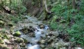 Trail Walking Saint-Pierre-d'Entremont - Chemin d'Assise de Le Planolet à  La Diat - Photo 1