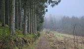 Percorso Marcia Waimes - Extratrail de Malmedy 🥾 - Photo 9