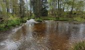 Trail Walking Houffalize - rando wibrin 22-04-2024 - Photo 18