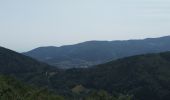 Excursión Senderismo Sentheim - Sentheim - Col du Schirm - Buissonniers - Kohlberg - Photo 18