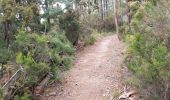 Tour Wandern Fréjus - Col du Testanier - le mont vinaigre - Photo 5