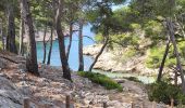 Randonnée Marche Cassis - Calanques de Port Miou, Port Pin et d'En Vau - Photo 3