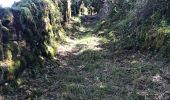Trail Walking Cavagnac - Cavagnac nature - Photo 3