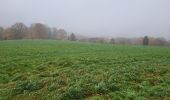 Trail Walking Namur - Wepion 211123 - Photo 6