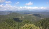 Tocht Stappen Le Lavandou - Tour du Haut Biscarre Biscarre - Photo 5