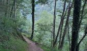 Randonnée Marche Cauterets - Cauterets > Lac de Gaube - Photo 14