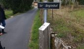 Tocht Auto Peyre en Aubrac - javols  - Photo 7