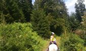 Trail Horseback riding Turquestein-Blancrupt - tipis col de lengin cimetiere militaire main de fer croix simon - Photo 2