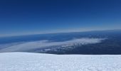 Trail Touring skiing Puerto Varas - volcán Osorno - Photo 1