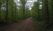 Trail Walking Virton - Lamorteau  -  Balade_VTT_28kms - Photo 5