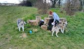 Trail Walking Maastricht - CANI-RANDO TOUR (boucle, montage saint pierre partie Hollande) - Photo 20