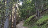 Trail Walking Chamonix-Mont-Blanc - CHAMONIX ... le chalet du Chapeau.  - Photo 9