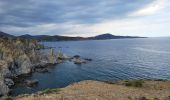 Tocht Stappen Banyuls-sur-Mer - Banyuls-Peyrefite_T - Photo 3