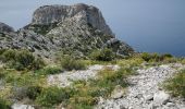 Trail Walking Marseille - Mont puget  - Photo 3