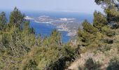 Randonnée Marche La Seyne-sur-Mer - janas le montannier - Photo 1