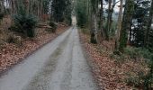 Trail Nordic walking La Forest-Landerneau - la forest landerneau vers landerneau - Photo 3