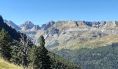 Randonnée Marche Urdos - Plateau de la gentiane - Photo 4
