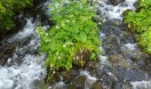 Trail On foot Laval-en-Belledonne - Lac de Crop - Photo 15