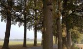 Trail On foot Voerendaal - De Roode draed - Photo 8