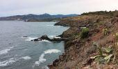 Tocht Stappen Port-Vendres - anse des paulliles - cap bear via les vignes retour par le chemin côtier - Photo 9