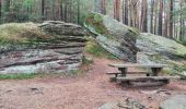 Tocht Stappen Rombach-le-Franc - Col de Fouchy  - Photo 6