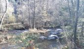 Randonnée Marche Malmedy - ligneuville - ondeval  aller retour  - Photo 6