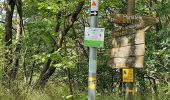 Trail On foot Gladenbach - Wanderweg E13 / Hünsteinweg - Photo 9