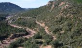 Trail Walking Saint-Raphaël - Pk Col de Belle Barbe - Ravin Mal Infernet - Pic du Cap Roux - Grotte Saint Honorat - Ravin des Lentisques - Photo 2