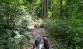 Trail Walking Hastière - Hastiere - Photo 10
