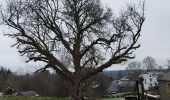 Trail Walking Bouillon - Cornimont 240123 - Photo 12