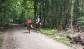 Tocht Stappen Sint-Genesius-Rode - 2020-09-01 - Forêt de Soignes- Rhode Saint Genève  - Photo 7