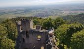 Percorso Marcia Dambach-la-Ville - Dambach - châteaux du Bernstein, de l'Ortenbourg et du Ramstein - Photo 13