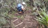 Percorso Marcia Salazie - Tour du Piton des Neiges par le petit GRR1 / J4 - Photo 7