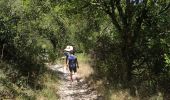 Excursión Senderismo Vallon-Pont-d'Arc - Ardèche - Photo 1