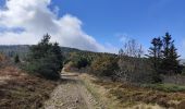 Tour Wandern Le Bessat - Croix de Chaubouret - Crêt de Botte - Col de l'Oeuillon  - Photo 3