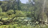 Trail Walking Jemeppe-sur-Sambre - Bois des masures, longée de la Petite-Sambre - Photo 4