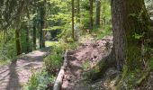 Trail Walking Bitschwiller-lès-Thann - JD 16/20 Willer sur Thur - Ferme Auberge d'Ostein 15km 4h - Photo 4