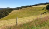 Tour Wandern Markirch - Col des Bagenelles et les deux Brézouard - Photo 3