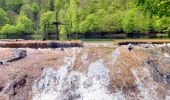 Randonnée Marche Bethmale - Etang de Bethmale - Photo 14