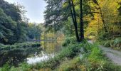 Tour Wandern Florenville - rando les epioux 15/09/2020 - Photo 9