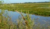 Tocht Hybride fiets Rochefort - Rochefort -les marais-embouchure de la Charente  - Photo 14