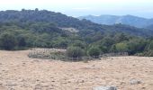 Trail Walking Banyuls-sur-Mer - 22 08 / 8-9-10 Oli40 - épisode 1 - Photo 7