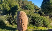 Randonnée Marche Saint-Raphaël - Menhirs D100 - Photo 1