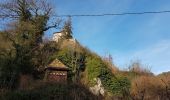 Tour Wandern Sankt Pilt - St Hippolyte - Bergheim - château Reichenberg - Photo 2