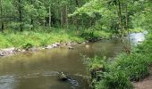 Tour Wandern Amel - La rivière d'or (9km) - Photo 20