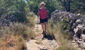 Trail Walking Berrias-et-Casteljau - Les gorges de Chassezac - Photo 8