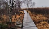 Trail Walking Waimes - CANI-RANDO TOUR ( boucle les caillebotis de la fagne wallonne) - Photo 13