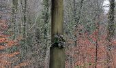 Tour Zu Fuß Bitsch - Weisser Senkrechter Strich auf gelbem Grund - Photo 1